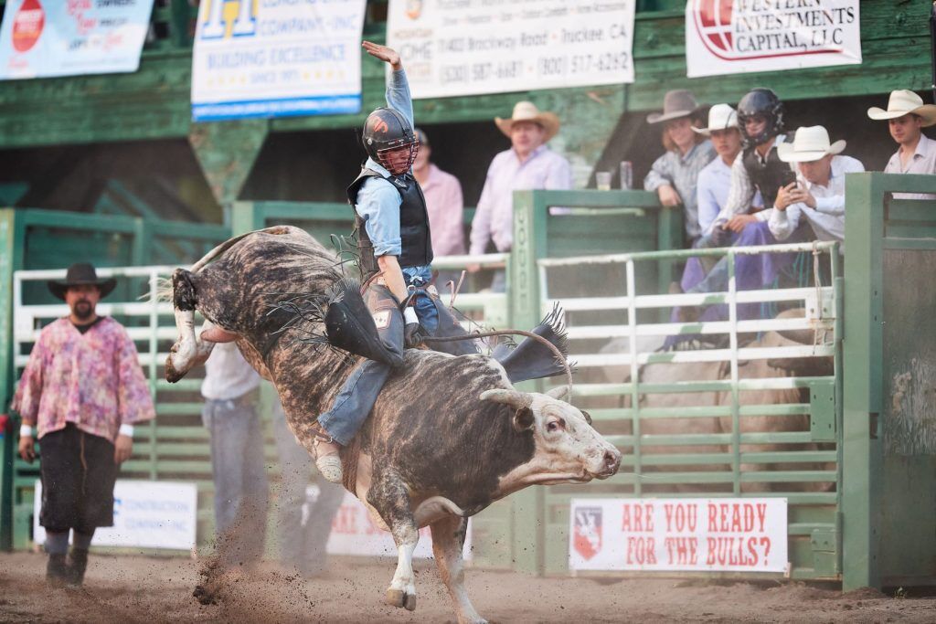 Truckee Rodeo Featured image showing a bull rider competing at the Truckee Pro Rodeo in Truckee, California at McIver Arena.